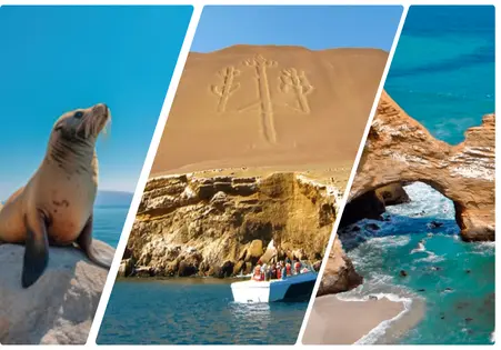 Paracas - Tour Islas Ballestas